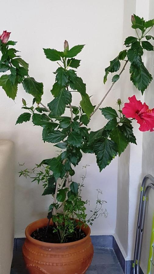 Fyllou Apartment Aszproválta Kültér fotó